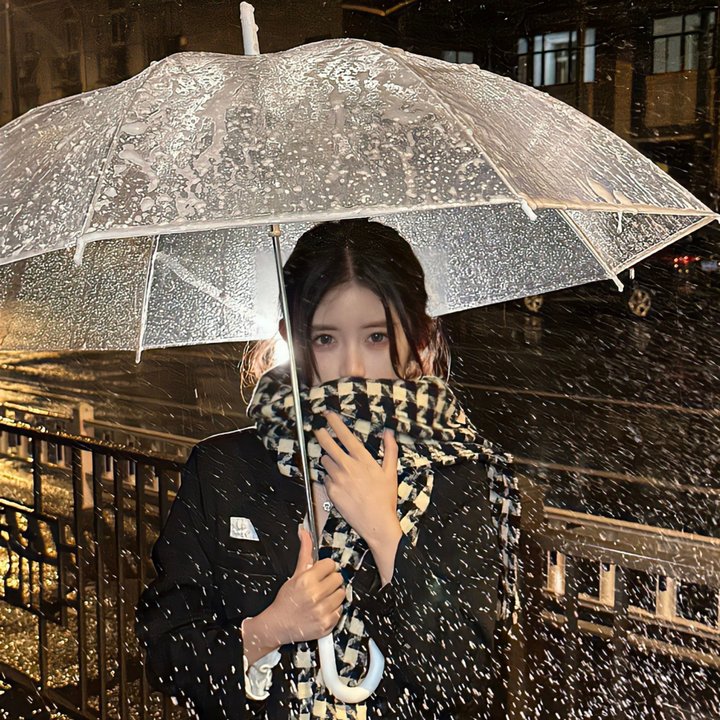 华盛顿的盔甲第一卷：旅程